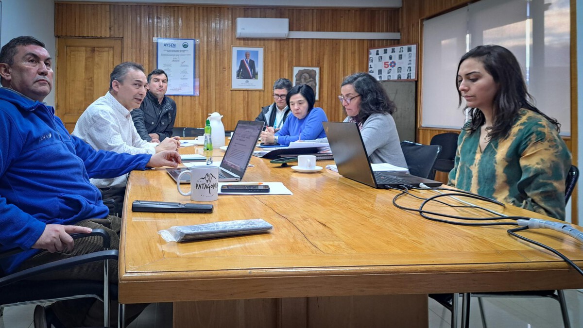 Autoridades y emprendedores de Aysén en reunión de Corfo para el desarrollo productivo regional.