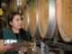 Viñedo en una zona austral de Chile durante la temporada de cosecha