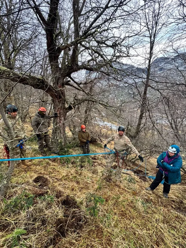 Personal militar y equipos de rescate trabajando en entrenamiento conjunto en Aysén